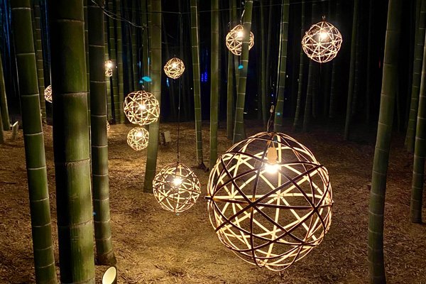 🎋 와카타케노모리 와카야마 농장 이미지 4